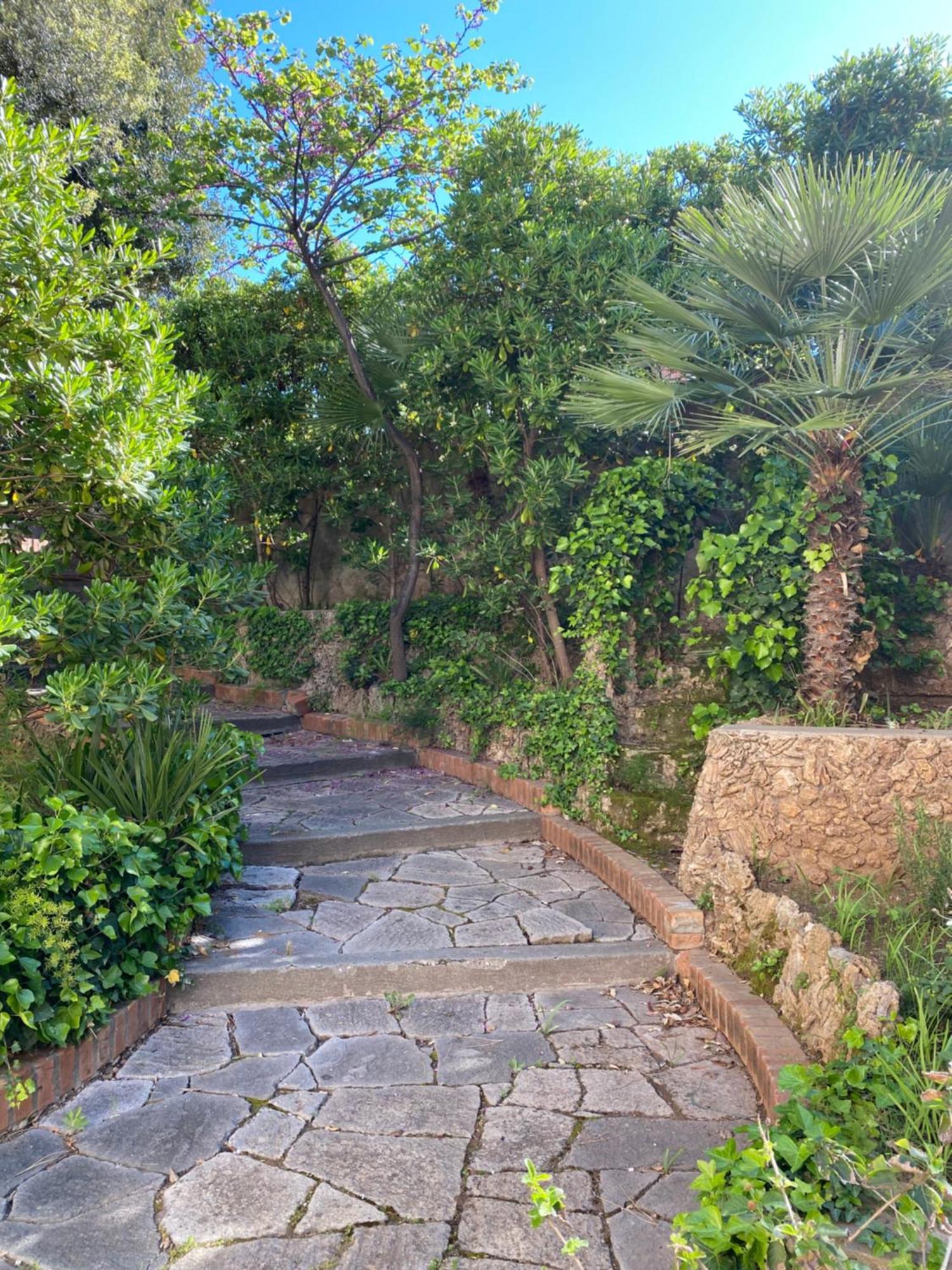 Villa Il Boschetto San Vincenzo Kültér fotó